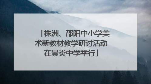 株洲、邵阳中小学美术新教材教学研讨活动在景炎中学举行