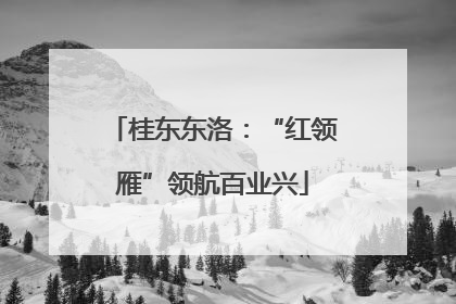 桂东东洛：“红领雁”领航百业兴