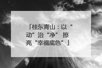 桂东青山：以“动”治“净” 擦亮“幸福底色”