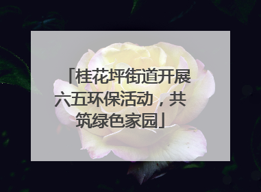 桂花坪街道开展六五环保活动，共筑绿色家园