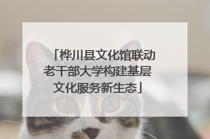 桦川县文化馆联动老干部大学构建基层文化服务新生态