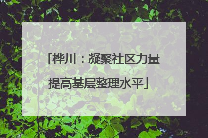 桦川：凝聚社区力量 提高基层整理水平