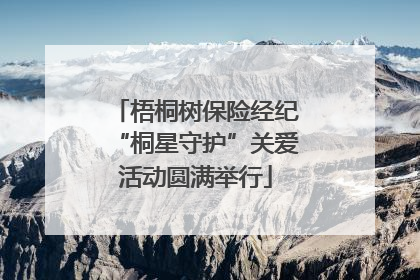 梧桐树保险经纪“桐星守护”关爱活动圆满举行