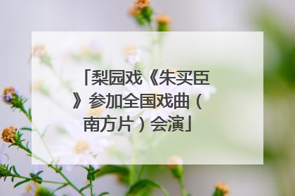 梨园戏《朱买臣》参加全国戏曲（南方片）会演