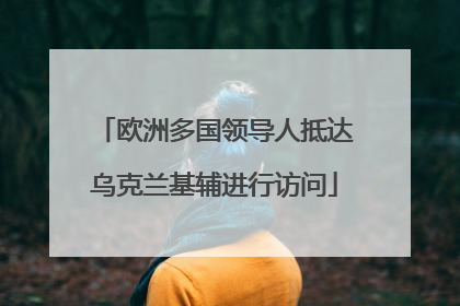 欧洲多国领导人抵达乌克兰基辅进行访问
