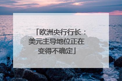 欧洲央行行长：美元主导地位正在变得不确定
