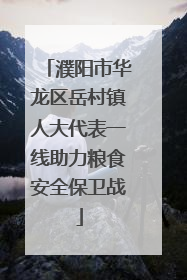 濮阳市华龙区岳村镇人大代表一线助力粮食安全保卫战