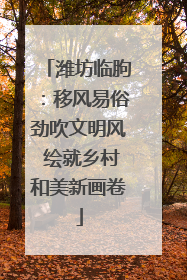潍坊临朐：移风易俗劲吹文明风 绘就乡村和美新画卷
