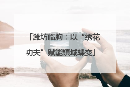 潍坊临朐：以“绣花功夫”赋能镇域蝶变