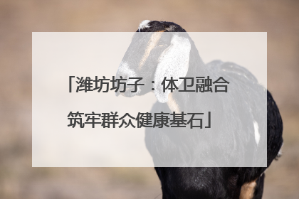 潍坊坊子：体卫融合筑牢群众健康基石