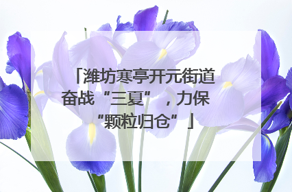 潍坊寒亭开元街道奋战“三夏”，力保“颗粒归仓”
