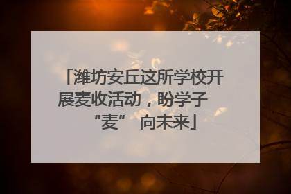 潍坊安丘这所学校开展麦收活动，盼学子 “麦” 向未来