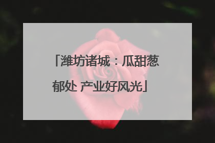 潍坊诸城：瓜甜葱郁处 产业好风光