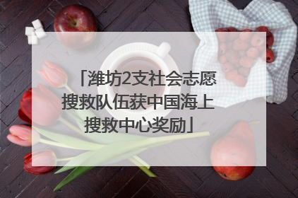 潍坊2支社会志愿搜救队伍获中国海上搜救中心奖励