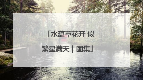 水蕴草花开 似繁星满天｜图集