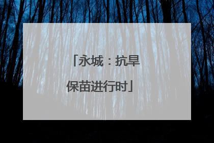 永城：抗旱保苗进行时
