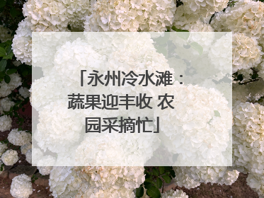 永州冷水滩：蔬果迎丰收 农园采摘忙