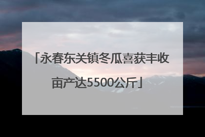 永春东关镇冬瓜喜获丰收 亩产达5500公斤