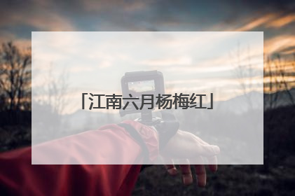 江南六月杨梅红