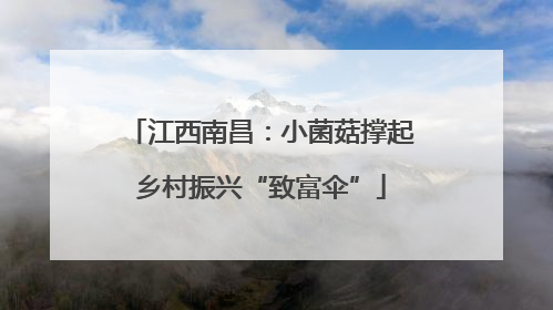 江西南昌：小菌菇撑起乡村振兴“致富伞”