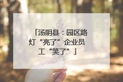 汤阴县：园区路灯“亮了”企业员工“笑了”