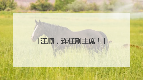 汪顺，连任副主席！