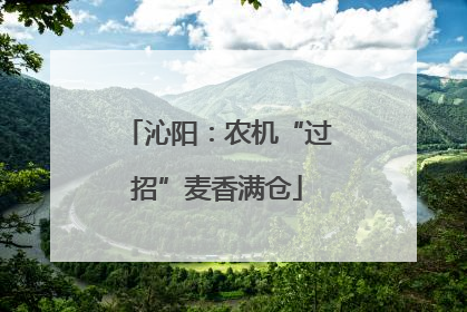 沁阳：农机“过招”麦香满仓