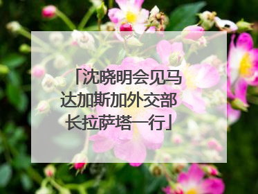 沈晓明会见马达加斯加外交部长拉萨塔一行