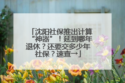 沈阳社保推出计算“神器”！延到哪年退休？还要交多少年社保？速查→
