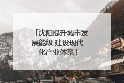 沈阳提升城市发展能级 建设现代化产业体系