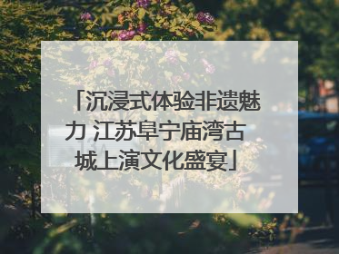 沉浸式体验非遗魅力 江苏阜宁庙湾古城上演文化盛宴