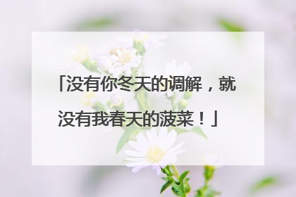 没有你冬天的调解，就没有我春天的菠菜！
