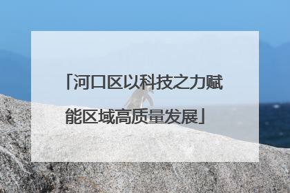 河口区以科技之力赋能区域高质量发展