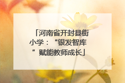 河南省开封县街小学：“银发智库”赋能教师成长