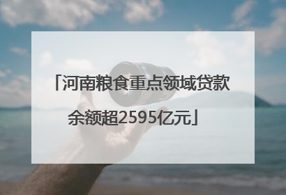 河南粮食重点领域贷款余额超2595亿元
