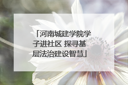 河南城建学院学子进社区 探寻基层法治建设智慧