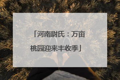 河南尉氏：万亩桃园迎来丰收季