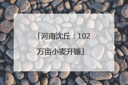 河南沈丘：102 万亩小麦开镰