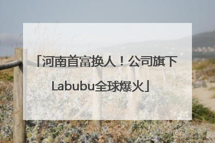 河南首富换人！公司旗下Labubu全球爆火
