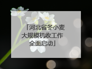 河北省冬小麦大规模机收工作全面启动