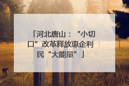 河北唐山：“小切口”改革释放惠企利民“大能量”