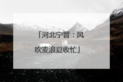 河北宁晋：风吹麦浪夏收忙
