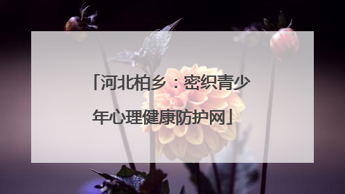 河北柏乡：密织青少年心理健康防护网
