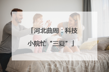 河北曲周：科技小院忙“三夏”