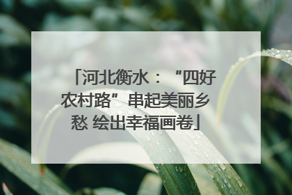 河北衡水：“四好农村路”串起美丽乡愁 绘出幸福画卷
