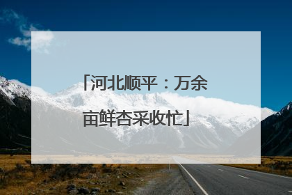 河北顺平：万余亩鲜杏采收忙