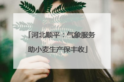 河北顺平：气象服务助小麦生产保丰收