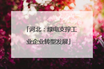 河北：绿电支撑工业企业转型发展