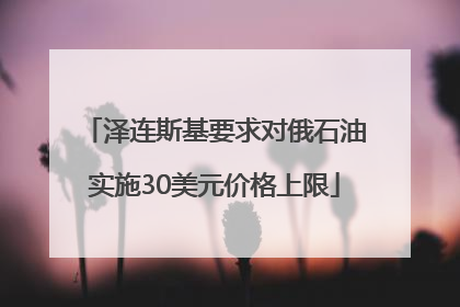 泽连斯基要求对俄石油实施30美元价格上限