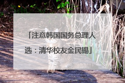 注意韩国国务总理人选：清华校友金民锡